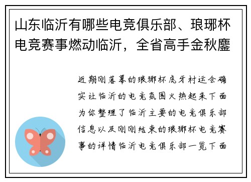 山东临沂有哪些电竞俱乐部、琅琊杯电竞赛事燃动临沂，全省高手金秋鏖战琅琊古城